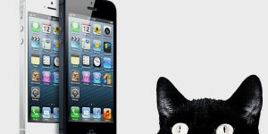 How To Make iPhone Apps Video Course