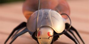 iPhone Controlled Bug + Free Shipping!