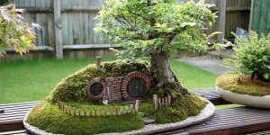 ‘Bag End Bonsai Trayscape’: A Bonsai Baggins Hobbit Home
