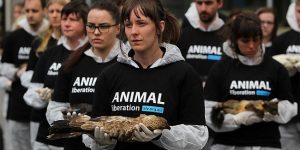 Animal Activists Hold Memorial for Dead Animals in Melbourne