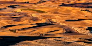 Tuscany of America – Palouse