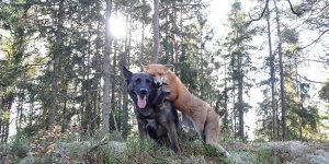 A Disney Movie has Come to Life. This Unlikely Duo will Melt Your Heart.