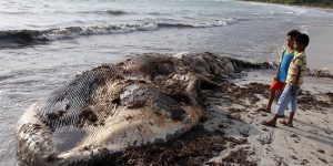 Death of a Giants