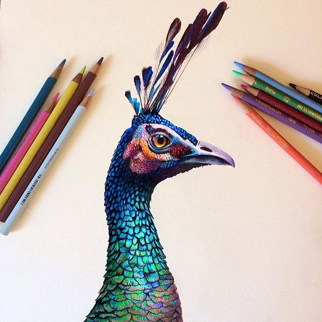 Amazing Colored Pencil Drawings By Morgan Davidson » Design You Trust ...
