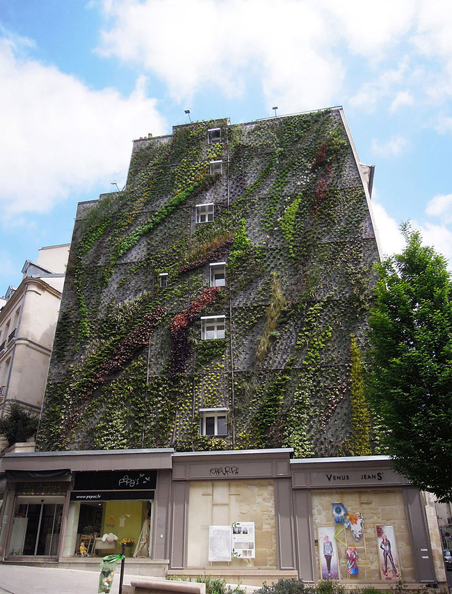 Vertical Garden By Patrick Blanc in Madrid, Spain » Design You Trust ...