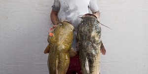 Matt Rainwaters Captures Okie Noodling Fisherman for New York Times Magazine