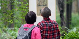 Outdoor Exhibition Shows Latest from Zeng Mi