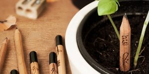 Sprout A Pencil That Grows