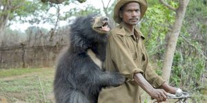 Sloth Bear Family Like a Dog