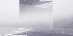 Amazing Sceneries of Inverse Image by Victoria Siemer