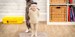 Cats Get Their Claws Into World Leaders For Internet Censorship Campaign