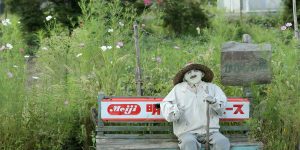 You Won’t Believe Who Lives In This Japanese Village
