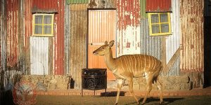 Luxury Hotel Creates 'Shanty Town' Slum for Superrich