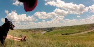 PetCam: The World Through The Lens Of Our Four-Legged Friends