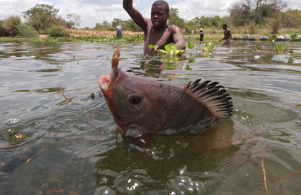 Illegal Fishing in Zimbabwe