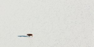 Fantastic Aerial Photos of Beautiful Botswana by Zack Seckler