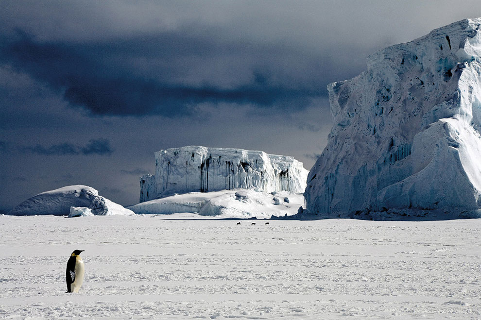 “The Last Iceberg” by Camille Seaman