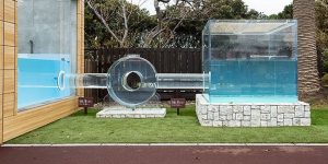 An Otter House In Japan Now Has A Roundabout – No More Underwater Traffic Jams