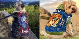 Couple Create Rocker Denim Jackets for Dogs (and Cats!)