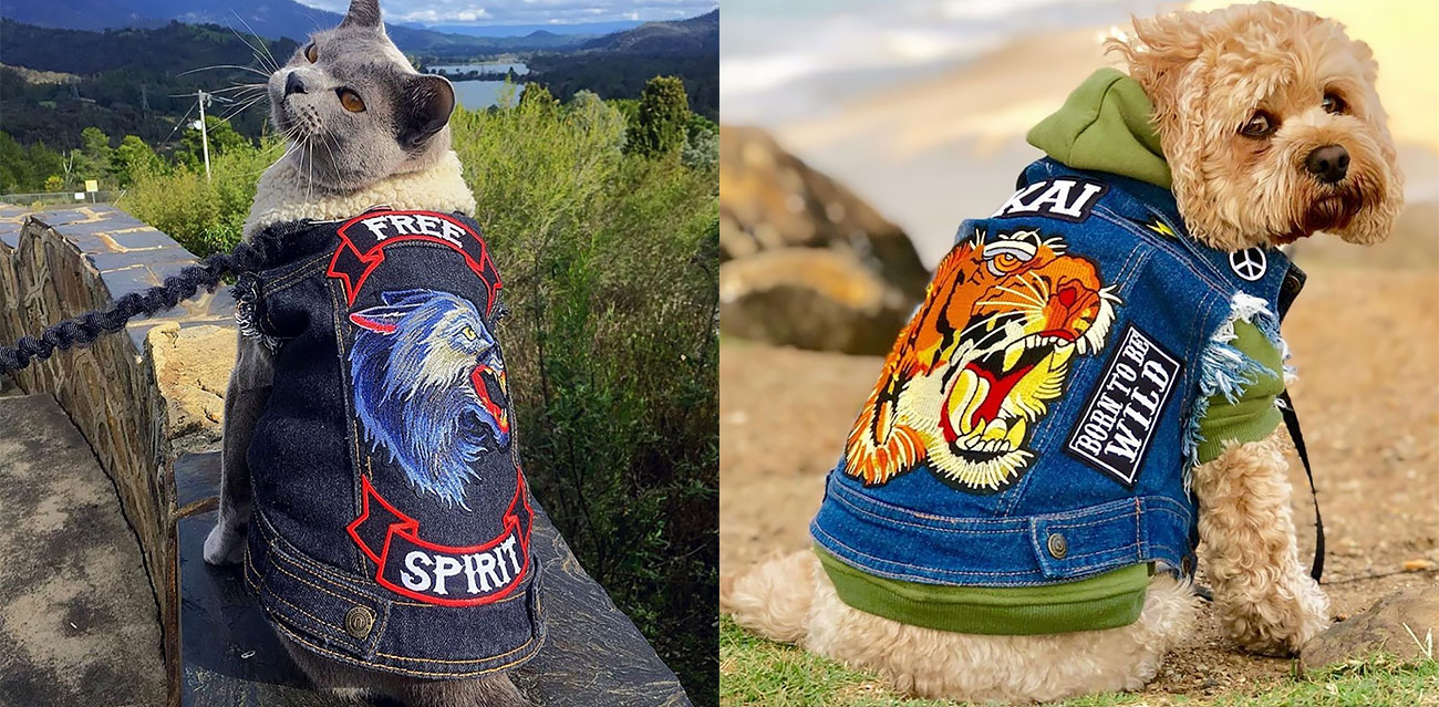 Couple Create Rocker Denim Jackets for Dogs (and Cats!) » Design You Trust — Design Daily Since 2007