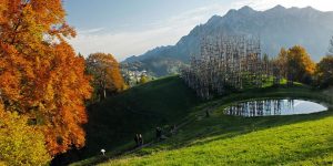 Cathedral Made From Trees By Giuliano Mauri