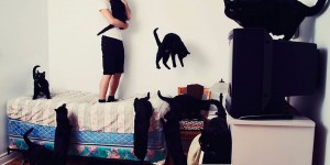 Crazy Cat Lovers by Andréanne Lupien