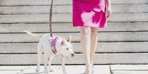 Fashion Blogger Shows Off Adoptable Animals
