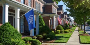 The International Flag of Planet Earth