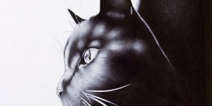 Amazing Ball Pen Drawings By Johann Lester