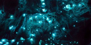 Long Exposure Photos Of Glowworms Turn New Zealand Cave Into Starry Night