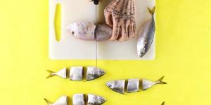 Creative Photo Works Of Artist’s Hands Exploring Different Art Forms