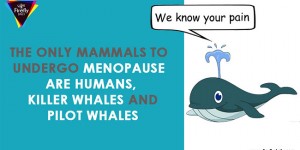 Weirdest Animals Facts That Will Make You Go WTF!