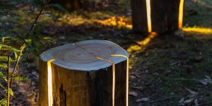 Gorgeously Illuminated Cracked Log Lamps