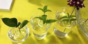 Floating Vases by ooDesign