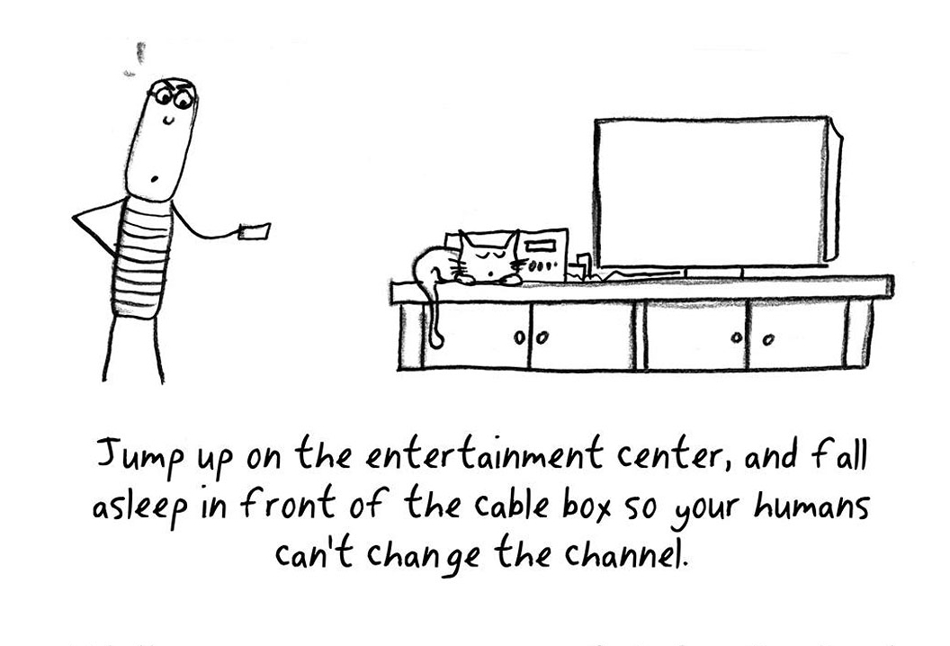 How To Be A Cat For Dummies » Design You Trust