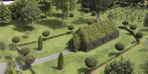 Man Spends Four Years Growing a Serene Church Made of Trees