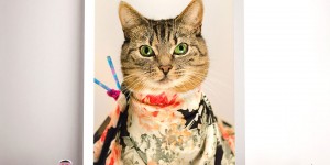 Meet Hummus, The Leukemic Fashion Cat Icon