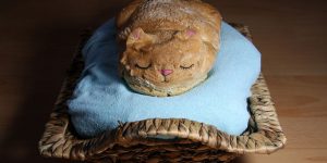Baker Turns Loaves of Bread into Adorably Sleepy “Catloaf”