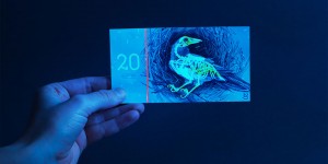 Hungarian Graphic Design Student Barbara Bernat Redesigns the Euro