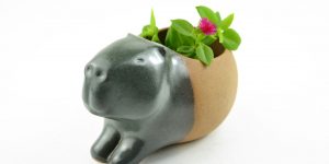 Tiny Handmade Ceramic Animal Planters by Cumbuca Chic