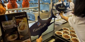#SaveSharks Campaign By Greenpeace