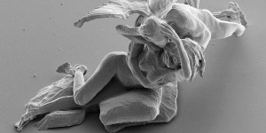 Astonishing Nano Sculptures By Jonty Hurwitz