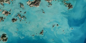 Fascinating Satellite Photos of Seaweed Farms in South Korea