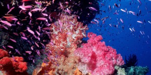 The Most Colorful Places On Earth