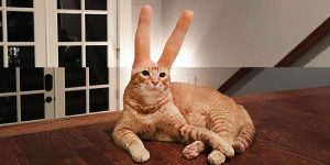 Photographer Creates Mind-bending Mashups To Mess With Your Head