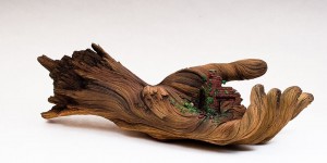 Trompe L’Oeil Ceramics That Imitate The Natural Appearance Of Decaying Wood