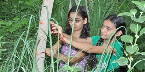This Amazing Village in India Plants 111 Trees Every Time a Little Girl is Born