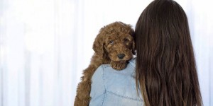 Couple Hilariously Recreates Newborn Photo Shoot with Their Puppy
