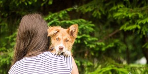 Photographer From Slovakia Took Portraits Of Dogs And They Are Beautiful
