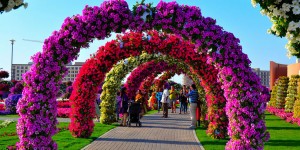 The Dubai Miracle Garden That Was Essentially Built On A Desert